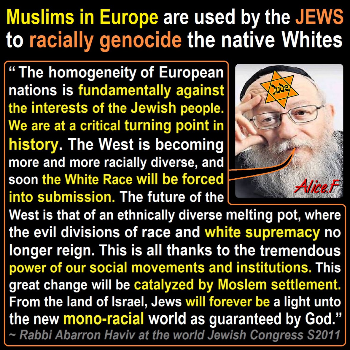 Video: Whites On 3 Continents Agree: Jews HATE Whites, Whites Must ...