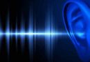NEW WEBSITE FEATURE: Audio only or Audio and Video!