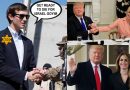 Video: When Trump was in the White House: The Real Reason the (((Liberals))) FREAK OUT about him!