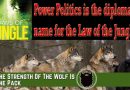 Video & Audio: Important Lesson for Whites: The TWO Laws of the Jungle