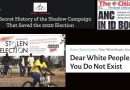 Video & Audio: BB9 & Jan: USA & S.Africa: Is Race Real? – White Survival, Stephen Goodson & the Future